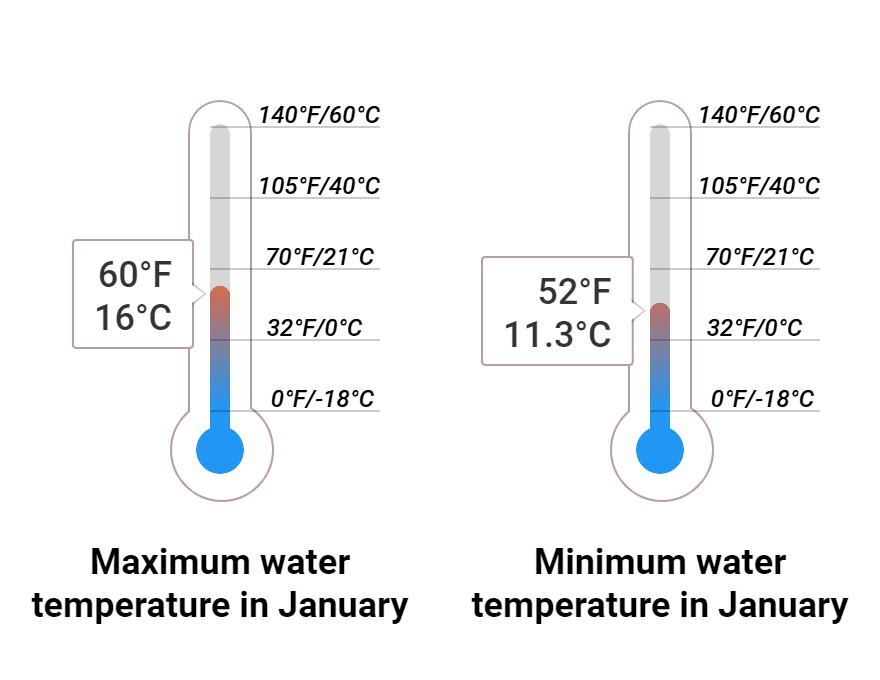 Average Sea temperature